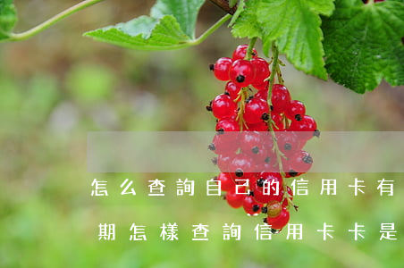 怎么查詢自己的信用卡有沒(méi)有逾期（怎樣查詢信用卡卡是否有逾期）