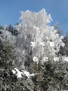 怎么查詢自己的征信有沒有逾期-怎么查詢自己的征信有沒有逾期記錄