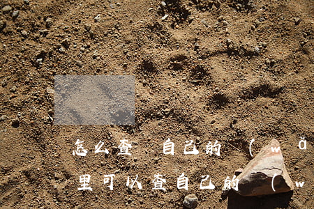 怎么查詢自己的網(wǎng)貸記錄(在哪里可以查自己的網(wǎng)貸記錄)