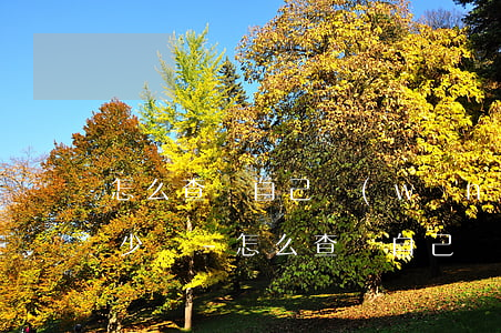 怎么查詢自己網(wǎng)貸總共欠了多少錢-怎么查詢自己網(wǎng)貸總共欠了多少錢呢