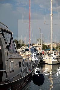 怎么查詢自己花唄有沒有逾期過-怎么查詢自己花唄有沒有逾期過呢
