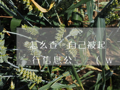 怎么查詢自己被起訴了沒(中國執(zhí)行信息公開網(wǎng))