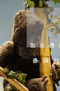 怎么查詢自己被起訴了沒(個(gè)人怎么查詢自己被起訴了沒)