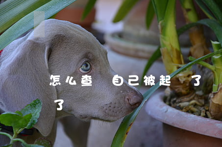 怎么查詢自己被起訴了沒有(如何查詢被起訴了沒)