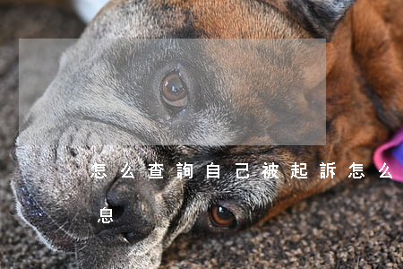 怎么查詢自己被起訴(怎么查詢自己被起訴信息?)