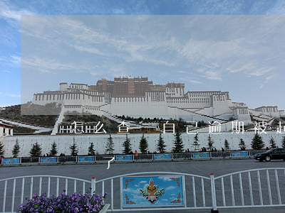 怎么查詢自己逾期被起訴了(怎么查詢你被起訴了)