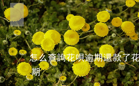 怎么查詢花唄逾期還款了(花唄怎么查還款日期)