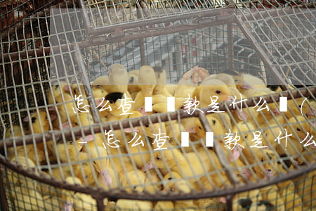 怎么查詢貸款是什么時(shí)候逾期的-怎么查詢貸款是什么時(shí)候逾期的呢