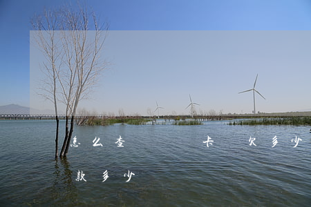 怎么查詢車貸卡還欠多少錢(怎么看車貸卡欠款多少)