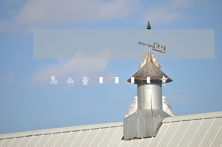 怎么查詢車輛違章