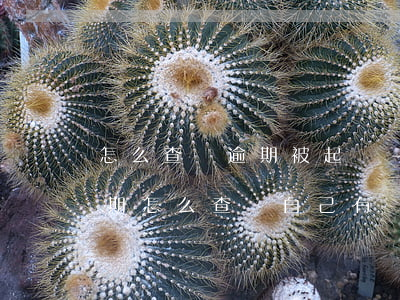 怎么查詢逾期被起訴-網(wǎng)貸逾期怎么查詢自己有沒有被起訴
