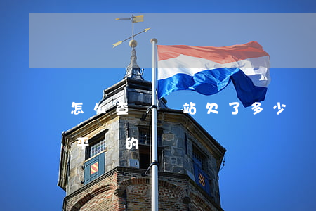 怎么查詢錢站欠了多少錢(怎么查詢欠了哪些平臺的錢)