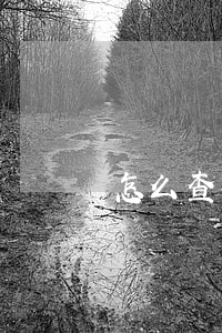 怎么查詢開庭信息(怎么查詢法院開庭信息)