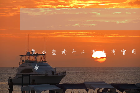怎么查询个人有没有官司(查个人官司在哪里查)