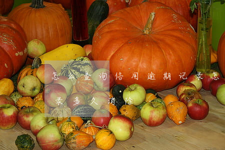 怎么查询信用逾期记录 怎么查询信用逾期记录多久消除