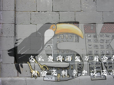 怎么查询浦发万用金欠多少钱(怎么看浦发万用金还剩多少没还清)