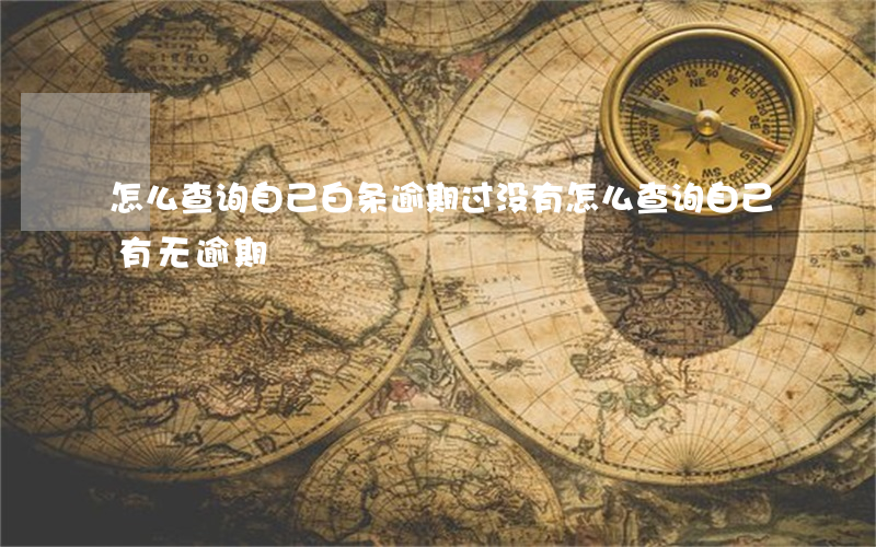 怎么查询自己白条逾期过没有(怎么查询自己有无逾期)