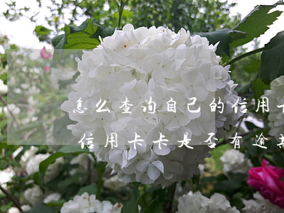怎么查询自己的信用卡有没有逾期（怎样查询信用卡卡是否有逾期）