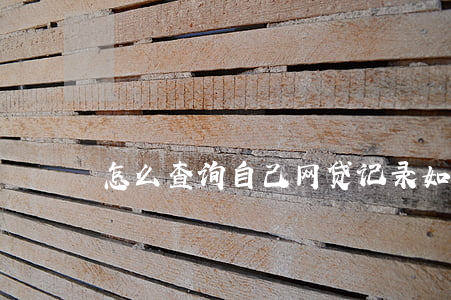 怎么查询自己网贷记录(如何查询网贷记录)