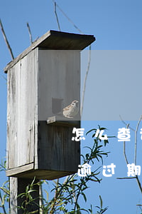 怎么查询花呗逾期满五年(怎么查花呗有没有逾过期)