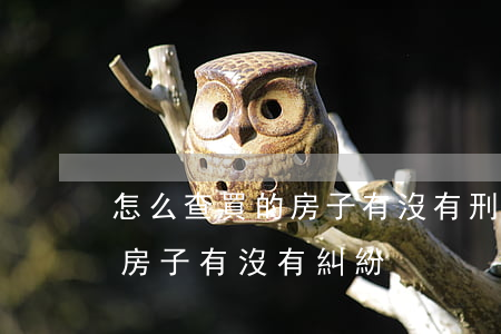 怎么查買的房子有沒有刑事問題(怎么查這個房子有沒有糾紛)