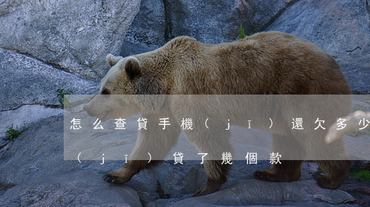 怎么查貸手機(jī)還欠多少(怎么查手機(jī)貸了幾個款)