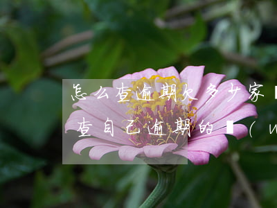 怎么查逾期欠多少家網(wǎng)貸(怎么查自己逾期的網(wǎng)貸)