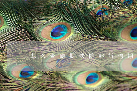 怎么查逾期法院起訴(逾期一般多久起訴)