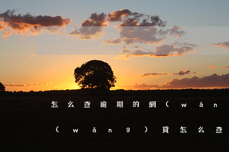 怎么查逾期的網(wǎng)貸(有沒有欠網(wǎng)貸怎么查)