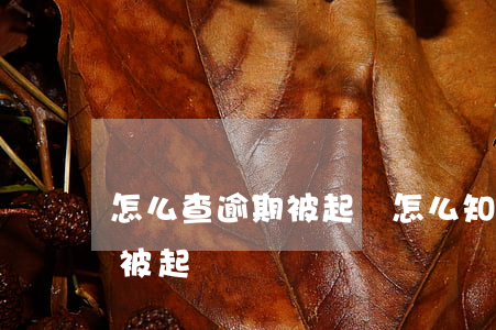 怎么查逾期被起訴(怎么知道自己逾期有沒有被起訴)