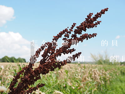 怎么查逾期記錄的具體發(fā)生時間-怎么查逾期記錄的具體發(fā)生時間和地點