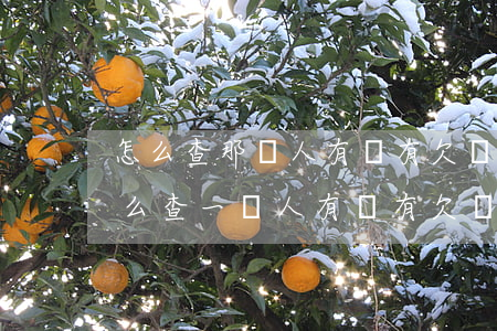 怎么查那個人有沒有欠網(wǎng)貸(怎么查一個人有沒有欠網(wǎng)貸)