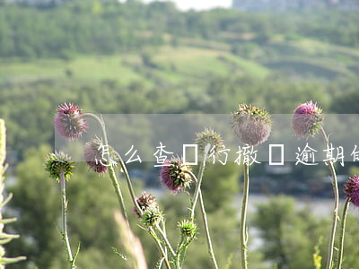 怎么查銀行撤銷逾期的-銀行逾期去哪消除