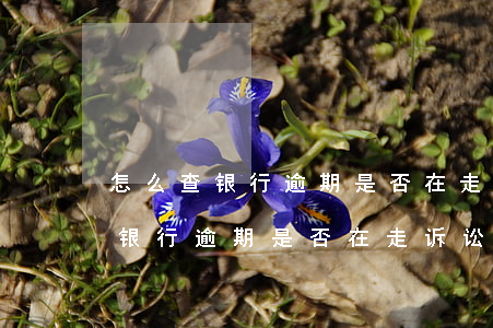 怎么查银行逾期是否在走诉讼流程-怎么查银行逾期是否在走诉讼流程呢