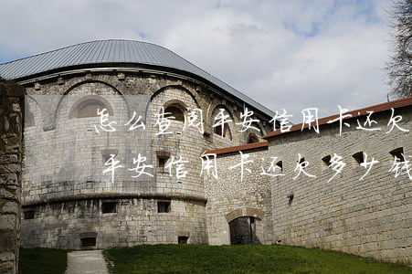 怎么查阅平安信用卡还欠多少钱-怎么查阅平安信用卡还欠多少钱了
