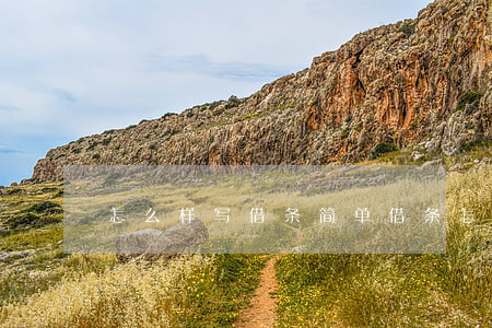 怎么样写借条(简单借条怎么写)