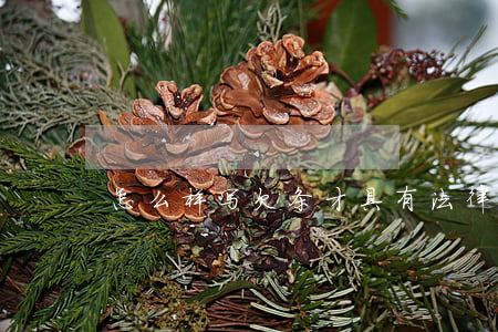 怎么样写欠条才具有法律效应