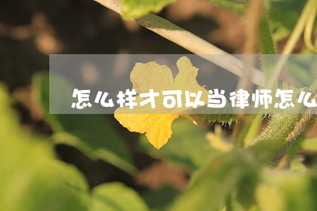 怎么样才可以当律师(怎么才能做律师)