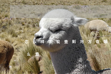 怎么样才能查到对方在哪里(查对方在哪里怎么查)