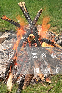 怎么樣來預(yù)防網(wǎng)貸逾期(網(wǎng)貸逾期應(yīng)對催收技巧)