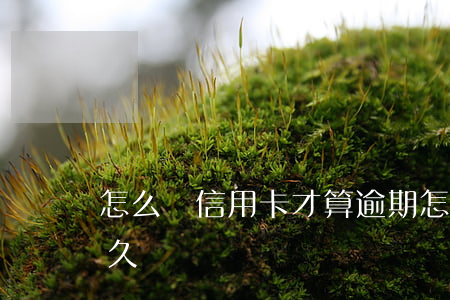 怎么樣信用卡才算逾期 怎么看信用卡逾期多久