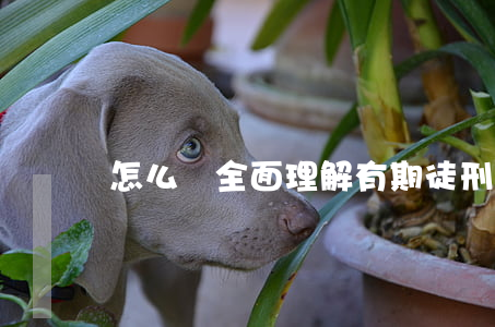 怎么樣全面理解有期徒刑的含義