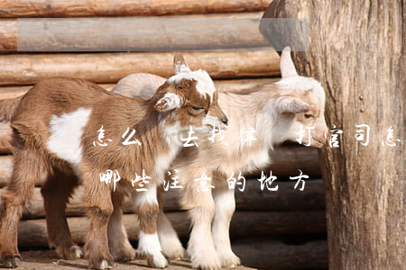 怎么樣去找律師打官司(怎樣請律師打官司,有哪些注意的地方)
