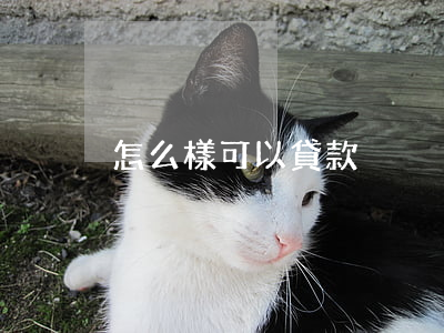 怎么樣可以貸款