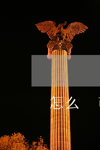 怎么樣可以進行投標