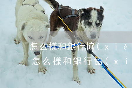 怎么樣和銀行協(xié)商還款信用卡-怎么樣和銀行協(xié)商還款信用卡分期