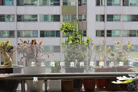 怎么樣啊查我花唄逾期(怎么樣啊查我花唄逾期)