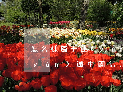 怎么樣屬于運(yùn)通信用卡逾期 運(yùn)通中國信用卡