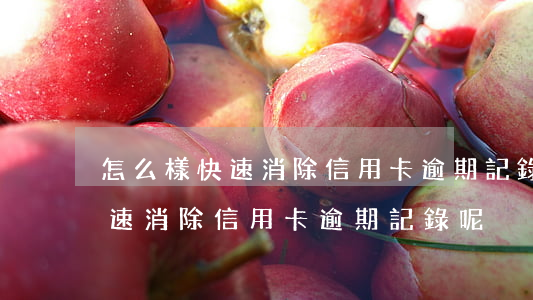 怎么樣快速消除信用卡逾期記錄-怎么樣快速消除信用卡逾期記錄呢
