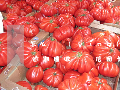 怎么樣應(yīng)對(duì)信用卡逾期催收電話?（信用卡逾期找我解決）